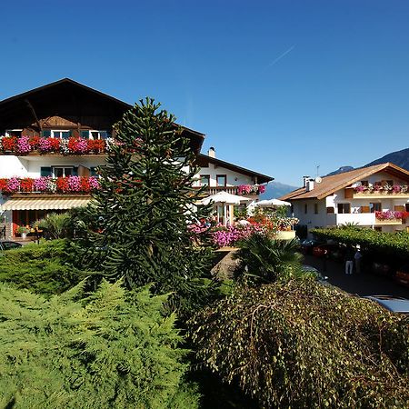 Hotel & Residenz Traubenheim Nalles Extérieur photo